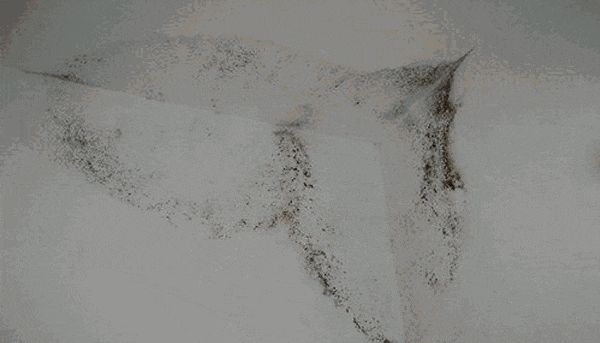 640 (1).gif