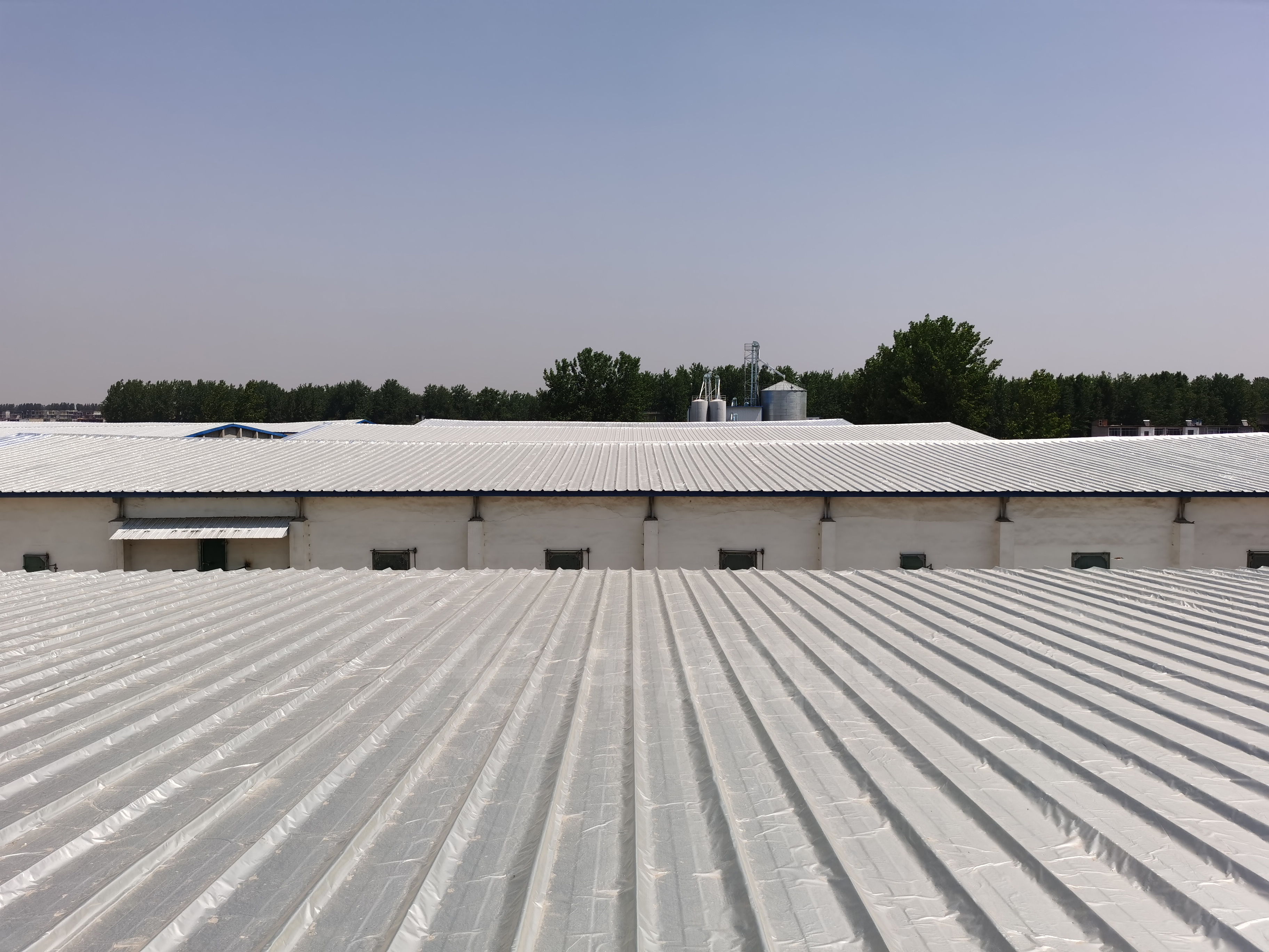 中储粮新蔡直属库屋面防水隔热改造项目图片 (11).jpg